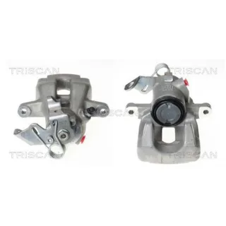 Triscan Bremssattel hinten links Citroen DS Opel Peugeot 8170343872