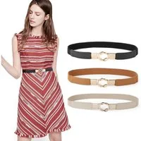 Zaewry Taillengürtel Dünne Retro Stretch Taille Gürtel Mit Goldener Schnalle Frauen Dünner elastischer Gürtel für Kleider