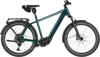 Herren e-Bike  Riese & Müller Charger5 Touring pine . 2026 (Rahmenhöhe: 53 cm | 180 - 195 cm)