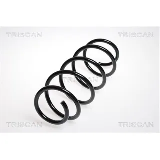 Triscan Feder vorne Skoda Fabia VW Polo 875029140