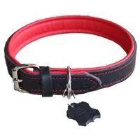 Activity4Dogs Hunde-Halsband große Hunde, Echtleder, 5-fach verstellbar, 4 Größen, verschiedene Farben, Größe M bis XL, jeweils 5-fach verstellbar