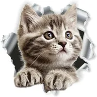 Hermann Schütz Aufkleber Hermann Schütz Aufkleber Einschussloch Motiv Katze