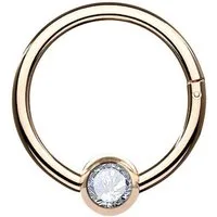 Taffstyle Nasenpiercing Titan Septum Segment Ring Piercing Clicker Scharnier Kristall Kugel, Nasenpiercing Nasenring Ohrpiercing Ohr Nase Tragus Helix Brust Intim