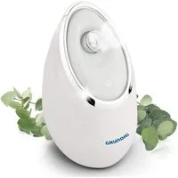 Grundig Gesichtssauna Gesichtssauna Facial Steamer, Dampfbad Porenreiniger Tiefenreinigung 260W
