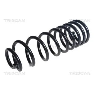 Triscan Feder hinten Ford Tourneo Transit 875016153