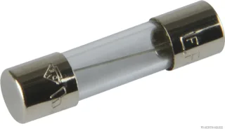 HERTH&BUSS Sicherung, Glas, F flink, 5 x 20mm, 250V max. - 50295055