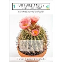 HappySeed Blumensamen Goldkugelkaktus Samen - Echinocactus Grusonii (Kakteen), Kakteen