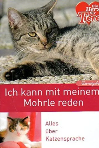 Tai-Chi Gesundheit und Entspannung