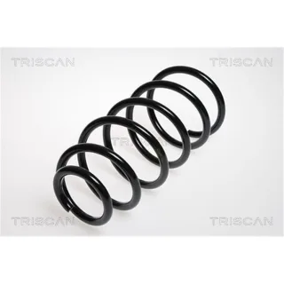 Triscan Feder vorne Audi A3 Tt