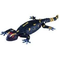Robo Friends Salamander, RC