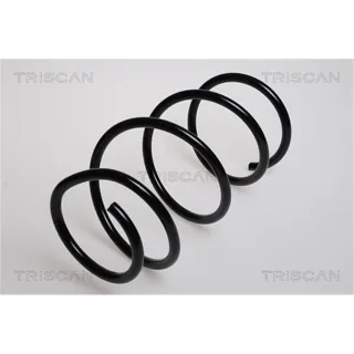 Triscan Feder vorne BMW 3er E46