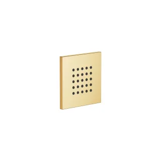 Dornbracht WATER POINTS UP-Seitenbrause SERIENNEUTRAL 36515979 Gold gebürstet (PVD),36515979-37 36515979-37