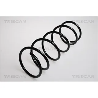 Triscan Feder vorne Citroen Xsara 87502859