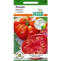 SAMEN PFANN Gemüsesamen Tomate, Tomande F1 - Saatgut Tomaten Samen, Solanum lycopersicum
