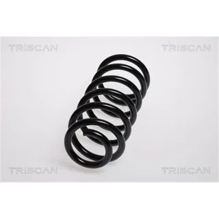 Triscan Feder hinten Mini R50 R52 R53