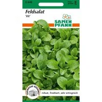 SAMEN PFANN Gemüsesamen Feldsalat, Vit - Saatgut Salat-Samen Samen, Valerianella locusta