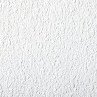 Rasch Vliestapete Wallton 2025, 127607, Einfarbig, Uni, 0.53 x 10.05 m, Weiß