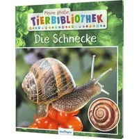 Meine große Tierbibliothek: Die Schnecke / Paul Starosta, Sachbuch für Vorschule & Grundschule