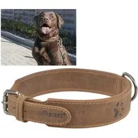 Greenburry Hunde-Halsband "Vintage" Leder antikbraun, Rindleder, robustes Halsband Hunde, 46-53cm, doppellagig, gerundete Metallteile