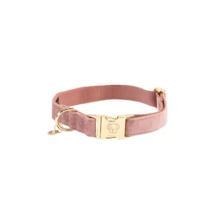 Hundehalsband KY Velvet