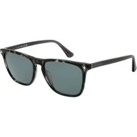 Web Sonnenbrille WE0363 5520V