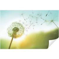 Wallarena Fototapete Natur - Mehrfarbig - Modern - Vlies - Wohnzimmer, glatt, 104x70cm