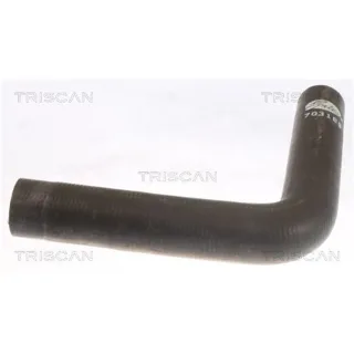Triscan Steuerkettensatz Hyundai Kia 865043001