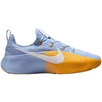 Nike Nike Performance LeBron TR 1 Aluminum University Hallenschuh
