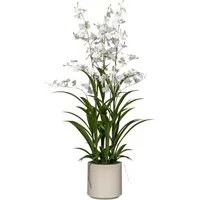 Kunstorchidee Orchidee Oncydie, Creativ green, Höhe 98 cm, im eleganten Topf
