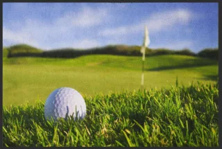 Fussmatte Golf 4542 | Größe: 60 cm x 45 cm