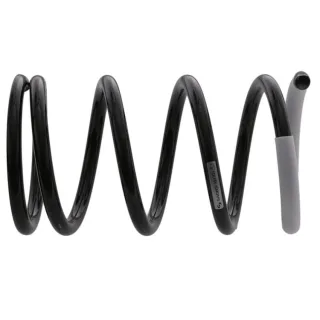 Sachs Feder hinten Toyota Rav 4 2 1,8