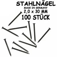 Corvus Spielwerkzeug Stahlnägel 2,0 x 30mm, 100 Stück