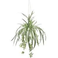 Kunstpflanze Wasserlilie hängend, I.GE.A., Höhe 65 cm, Mit Hängeampel Grünlilie Grünpflanze Chlorophytum Kunstblume Dekoblume