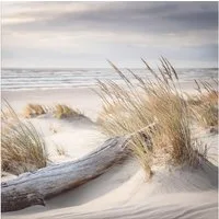 artissimo Glasbild Bild aus Glas 30x30 cm / Wandbild / Strandbild, Strand und Meer: Treibholz in den Dünen