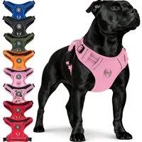 Reichstadt Hunde-Geschirr RS Pets Norwegergeschirr 25RSP083, Polyester, atmungsaktives Netzgewebe und robuster Oxford-Stoff