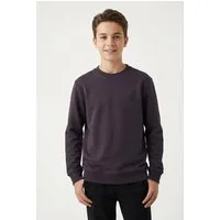 TOM TAILOR Sweatshirt mit Logo-Badge