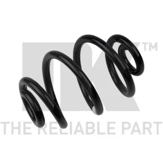 NK Feder hinten BMW 3er E46 541525
