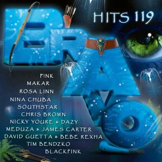 Bravo HitsVol.119