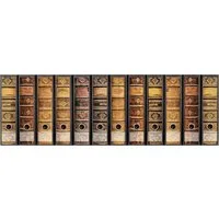 codiarts.® Aktenordner Ordnerrücken Sticker für 9 oder 12 breite Ordner - Motiv: alte Bücher, zum Beschriften