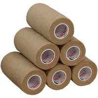 ALPIDEX Bandage 6 Rollen Haftbandage 10 cm x 4.5 m selbstklebender Verband