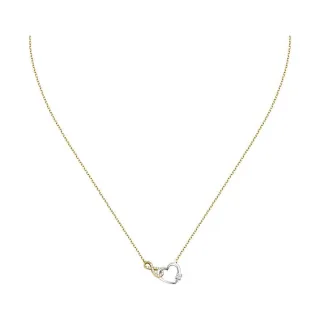 FAVS Kette 89193590