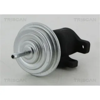 Triscan AGR-Ventil Audi Ford Seat VW 1,9