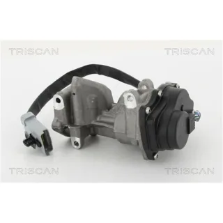 Triscan AGR-Ventil Fiat Ducato 250 881315076