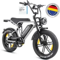 Vankel E-Bike Cityrad E6-2.0 Elektrofahrrad 20” x 4 Damen u. Herren Pedelec 720Wh Max.108KM, Heckmotor, 720 Wh, Pedelec, Elektrofahrrad E-Mountainbike für Erwachsene, E-bikes