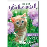 Verlag Dominique Grußkarten Geburtstag - Glückwunschkarte im Format 11,5 x 17 cm - Katze in lila B