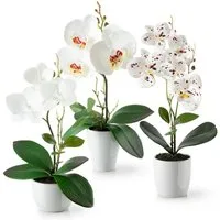 Kunstorchidee 3er Set künstliche Orchideen wie echt (35cm) in Hochglanz-Keramiktopf Orchidee, PASCH