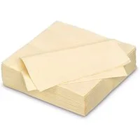 AVA Papierserviette, Servietten aus Papier 25x25cm 2-lagig 50 Stück Champagner