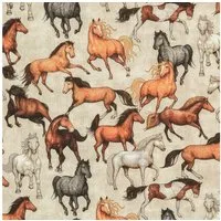 maDDma Stoff Baumwollstoff Wildpferde 1/2 Meterware 147cm breit Kinderstoff