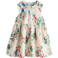 Next Partykleid Kleid aus Baumwolle mit Kragen, Paddington (1-tlg)