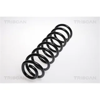 Triscan Feder vorne Mercedes E-Klasse W211 87502389